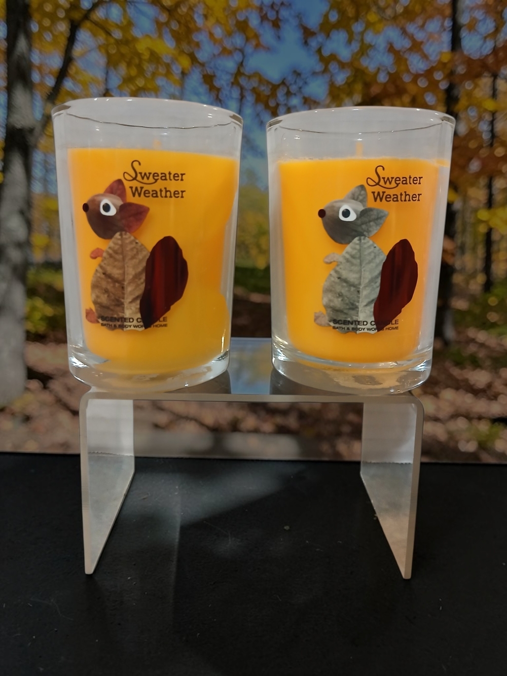 Bath & Body Works Sweater Weather Orange Squirrel Glass Candle Duo
